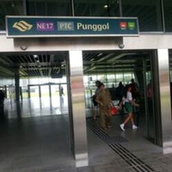 Punggol Field (Punggol),  #410561641